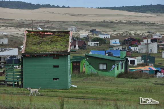 Casa com um telhado vivo em Cabo Polonio, no litoral do Uruguai